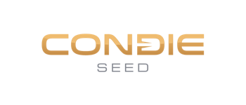 Condie Seed